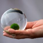 marimo 3