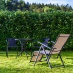 stay-in-the-garden-3394611_640