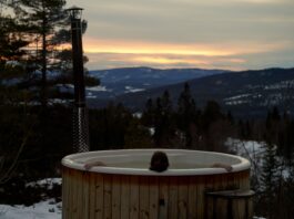 Vířivky se vymykají sezóně. Zákazníci si pořizují vlastní relaxaci a využívají ji celý rok Foto: Pexels/Barnabas Davoti